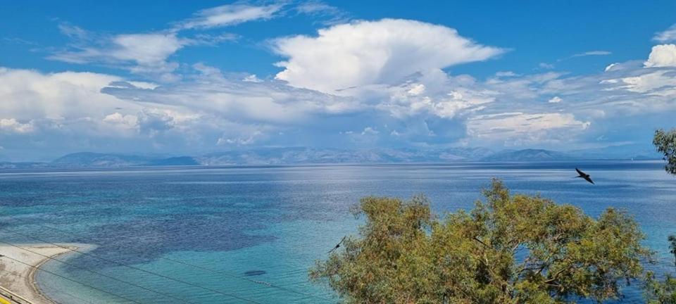 アギオス・イオアニス・ペリステリオン Ionian Mareアパートホテル エクステリア 写真
